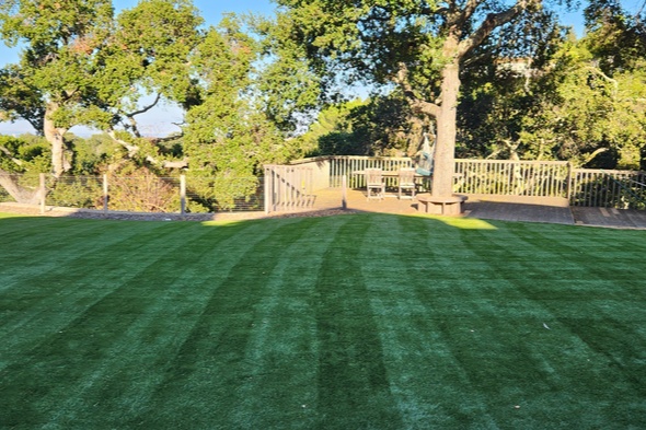 San Francisco synthetic grass landscaping